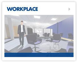 Workplace Consultancy